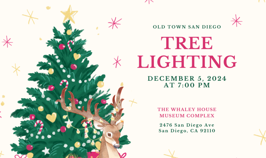 A Night of Lights and Harmony: The Old Town Christmas Tree Lighting